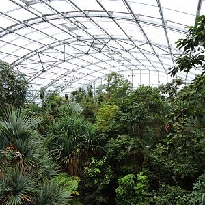 Masoala rainforest [2015]