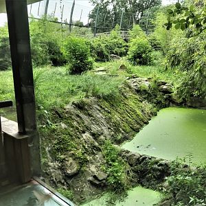 Part of the Sumatran tiger enclosure