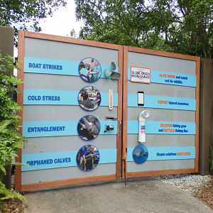 May. 2021 - Turtle Trek & Manatee Rescue - Manatee Injury Signage