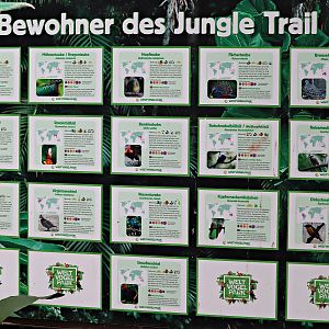 Speciesboard for Jungle Trail (08/2021)