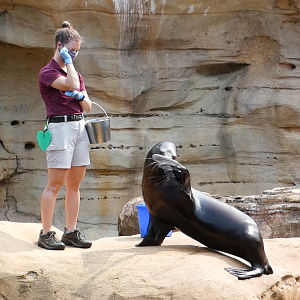 Sep. 2021 - Northwest Passage - Sea Lion Presentation