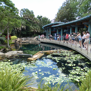May. 2021 - Turtle Trek & Manatee Rescue - Florida Manatee Exhibit