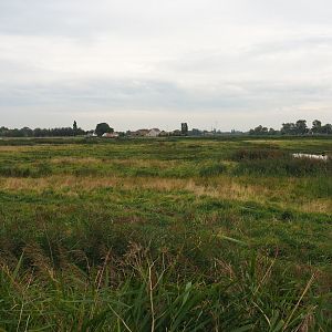 Uitkerkse Polder, 2021-09-14