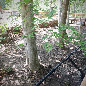 Bottom Half of the Pygmy Hippo Exhibit at the Greensboro Science Center