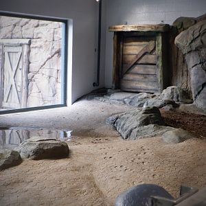 View of Indoor Pygmy Hippo Exhibit from inside of it!