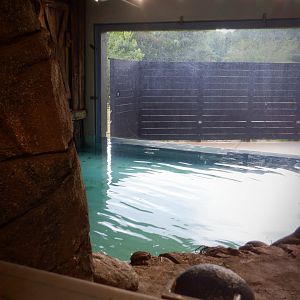 View of the other side of the indoor Pygmy Hippo exhibit at the Greensboro Science Center