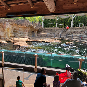 Sep. 2021 - Northwest Passage - California Sea Lion Presentation