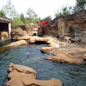 Sep. 2021 - Northwest Passage - California Sea Lion Exhibit