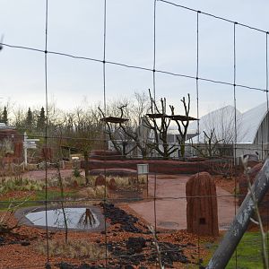 Red-necked wallaby exhibit [2018]
