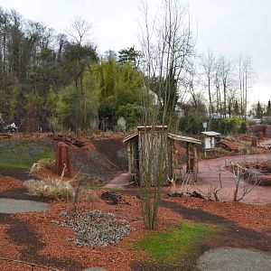 Red-necked wallaby exhibit [2018]