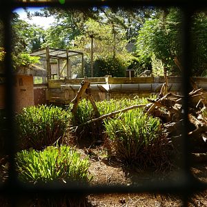 Former Cusimanse enclosure, September 2021