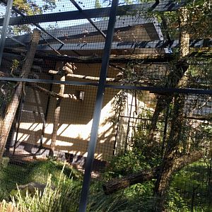 First  North American Aviary