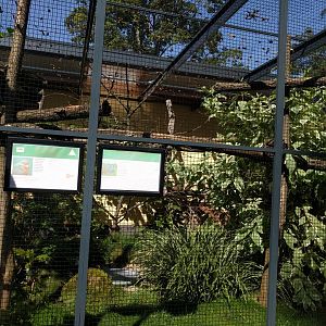 Second North American Aviary