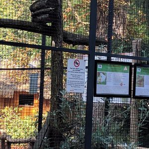 Red vented Cockatoo Enclosure