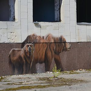 Bear painting - Pripyat [2019]