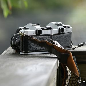 Tinopup's retro Pentax K1000's