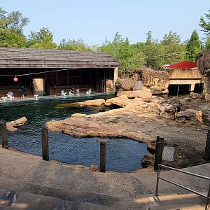 Sep. 2021 - Northwest Passage - California Sea Lion Exhibit