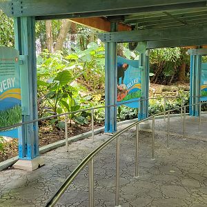 May. 2021 - Turtle Trek & Manatee Rescue - Rescue Signage in Queue