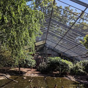 African free Flight Hall