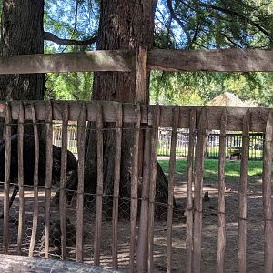 Emu Enclosure