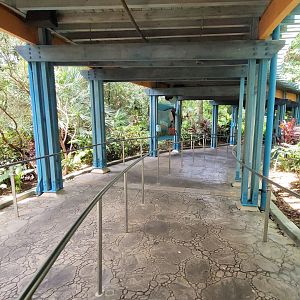 May. 2021 - Turtle Trek & Manatee Rescue Queue