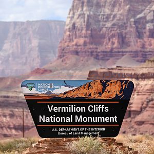 Vermillion Cliffs (site of condor reintroduction).