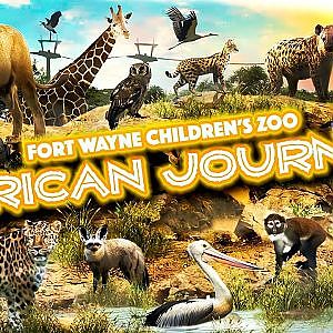 African Journey | Zoo Tours