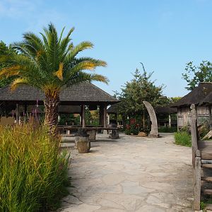 Timorese village area, 2021-09-02