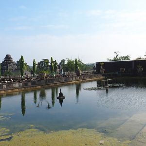 Pond and terrace area in The Kingdom of Ganesha, 2021-09-02