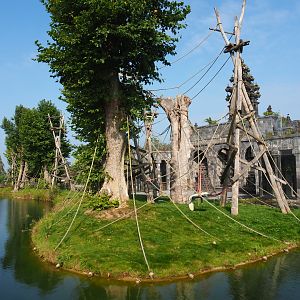 First Sumatran orangutan island, 2021-09-02