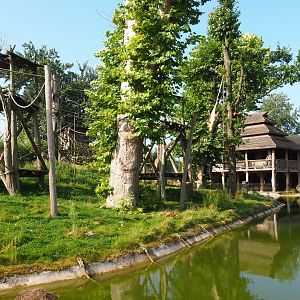 Second Sumatran orangutan island, 2021-09-02