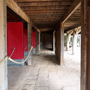 Second Sumatran orangutan house viewing area, 2021-09-02