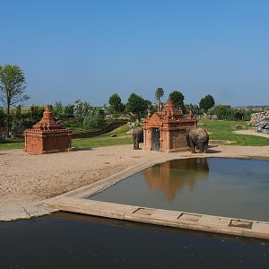 Asian elephant area, 2021-09-02