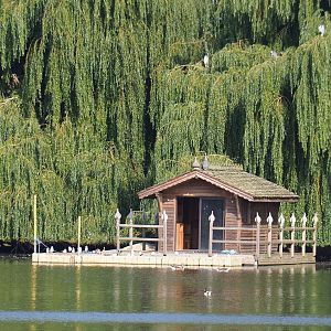 Part of waterfowl island, 2021-09-02