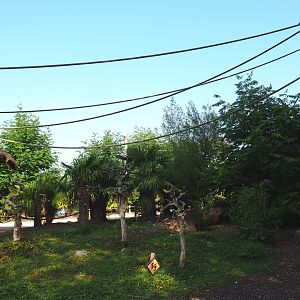 View on Black howler monkey island, 2021-09-02