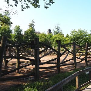 Rothschild's giraffe kraal, 2021-09-02