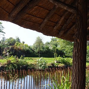 View from the African village terrace area, with parts of African lion and Spotted hyena exhibits, 2021-09-02