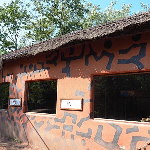 Housed for two species of ruffed lemurs on the lemur island, 2021-09-02