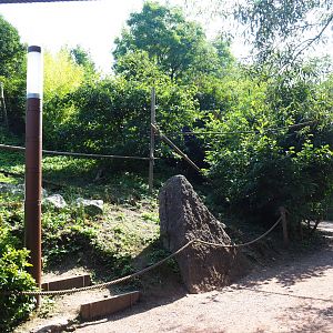 View on the lemur island, 2021-09-02