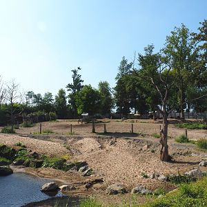 Savanna paddock, 2021-09-02