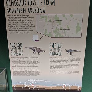 Dinosaurs from Southern Arizona signage