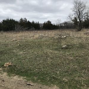 Minneopa State Park-American Plains Bison Exhibit
