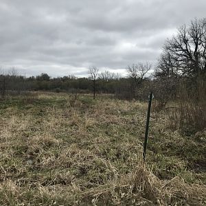 Minneopa State Park-American Plains Bison Exhibit