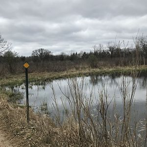 Minneopa State Park- American Plains Bison Exhibit