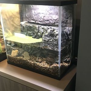 Pond Water Tank