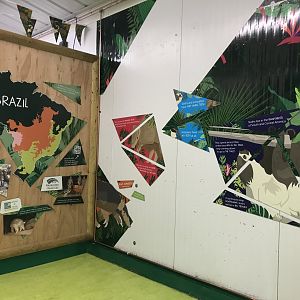 Armadillo and sloth signage