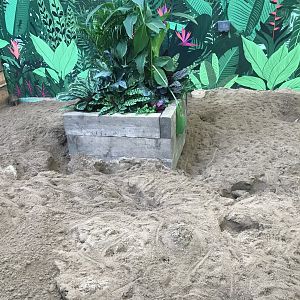 Refurbished armadillo enclosure