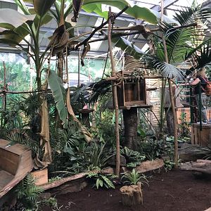 New sloth enclosure
