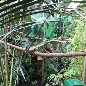 New sloth enclosure