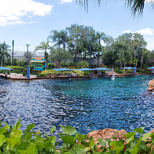 May. 2021 - Dolphin Cove - Panorama